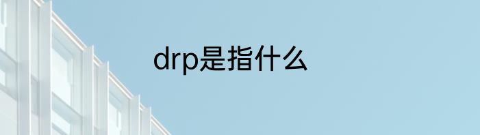 drp是指什么