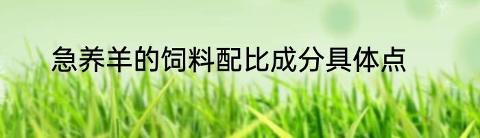 急养羊的饲料配比成分具体点