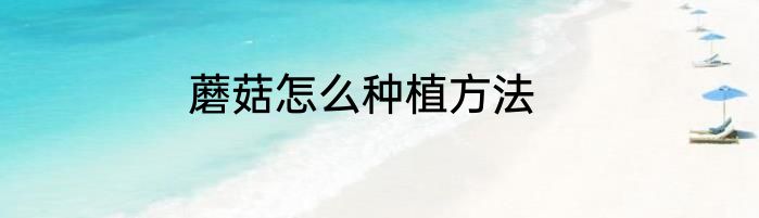 蘑菇怎么种植方法