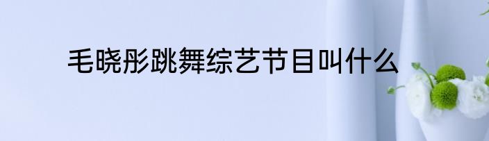 毛晓彤跳舞综艺节目叫什么