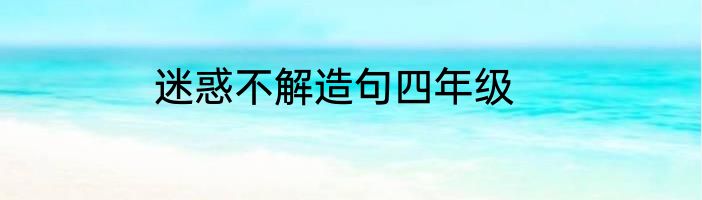 迷惑不解造句四年级