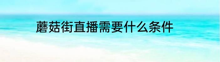 蘑菇街直播需要什么条件