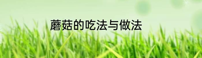蘑菇的吃法与做法