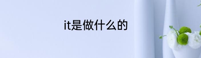 it是做什么的