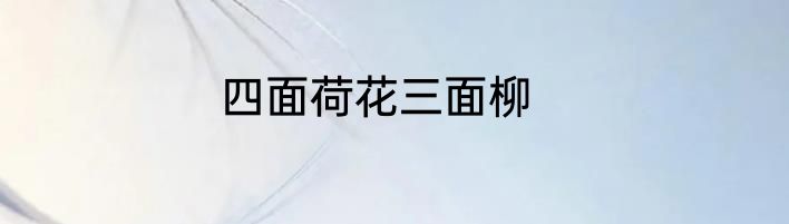 四面荷花三面柳