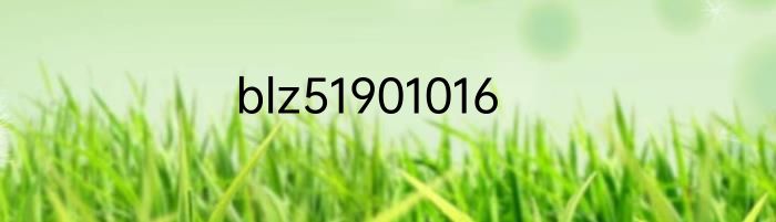 blz51901016