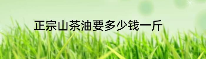 正宗山茶油要多少钱一斤