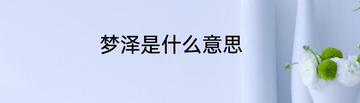 梦泽是什么意思