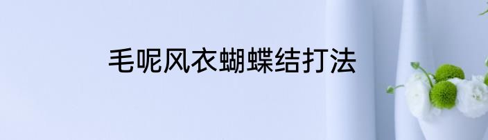 毛呢风衣蝴蝶结打法