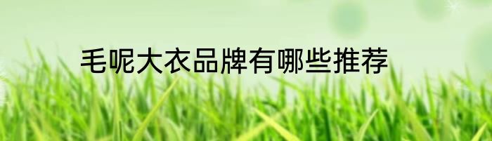 毛呢大衣品牌有哪些推荐