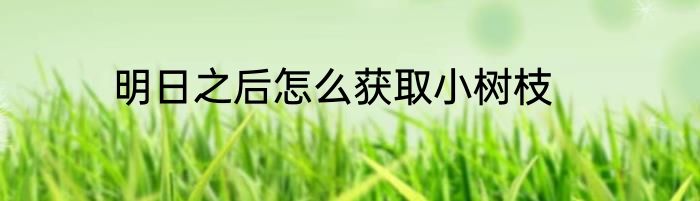 明日之后怎么获取小树枝