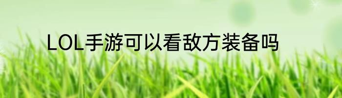 LOL手游可以看敌方装备吗