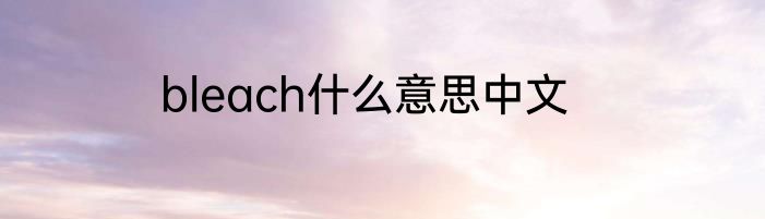 bleach什么意思中文