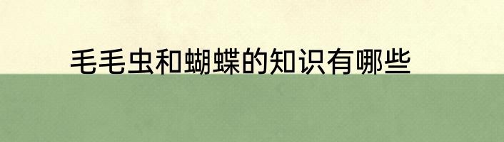 毛毛虫和蝴蝶的知识有哪些