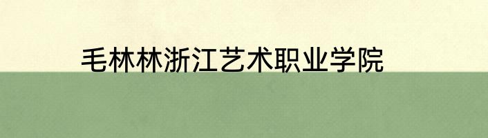 毛林林浙江艺术职业学院
