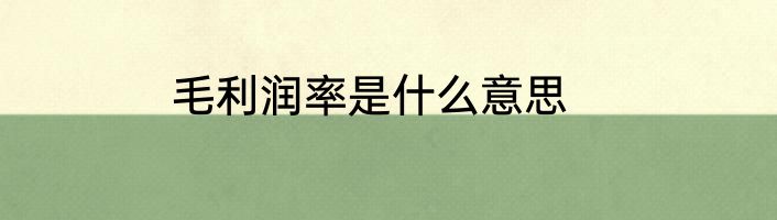 毛利润率是什么意思