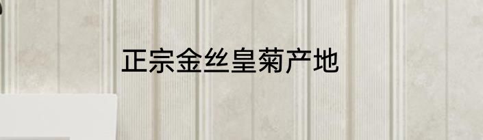正宗金丝皇菊产地