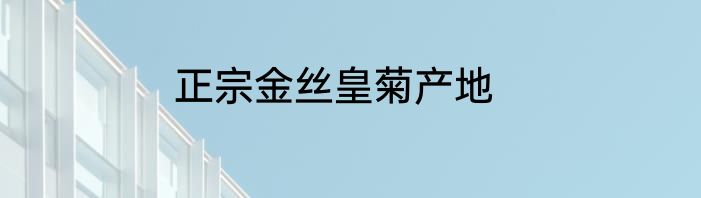 正宗金丝皇菊产地