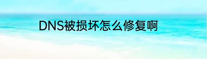 DNS被损坏怎么修复啊