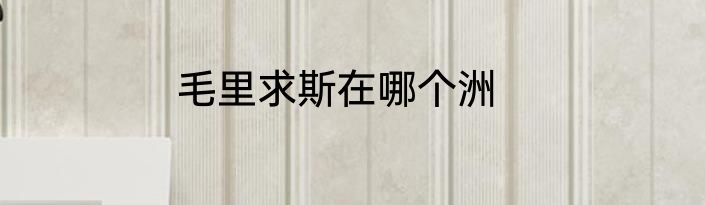 毛里求斯在哪个洲
