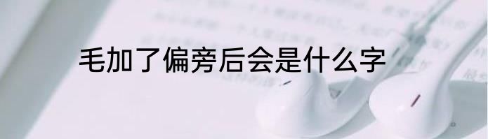 毛加了偏旁后会是什么字