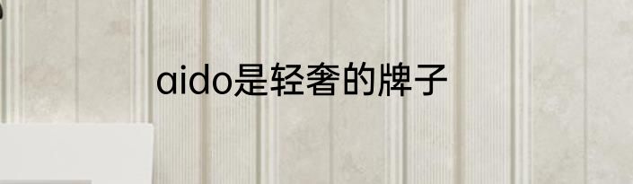 aido是轻奢的牌子