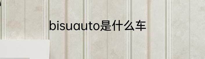 bisuauto是什么车