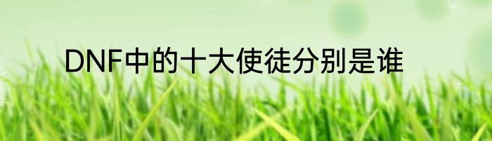 DNF中的十大使徒分别是谁