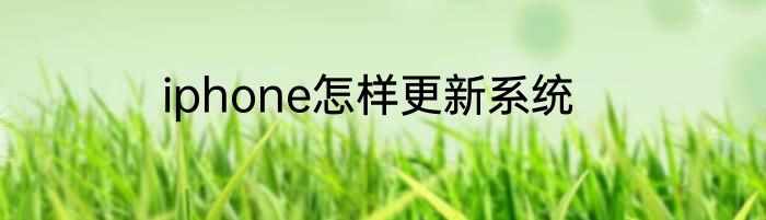 iphone怎样更新系统