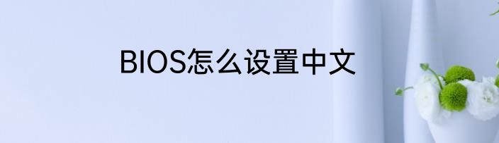 BIOS怎么设置中文