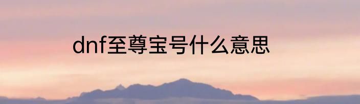 dnf至尊宝号什么意思