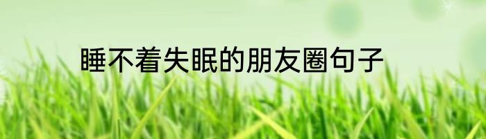 睡不着失眠的朋友圈句子