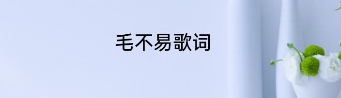 毛不易歌词