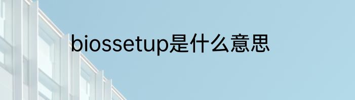 biossetup是什么意思