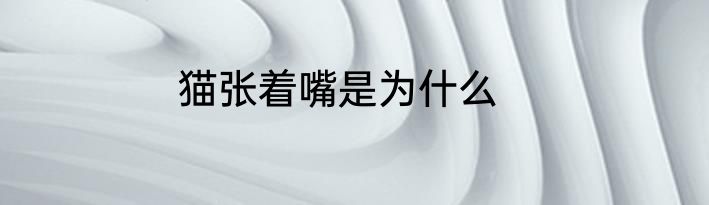 猫张着嘴是为什么
