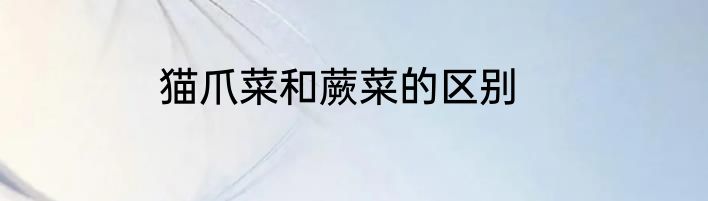 猫爪菜和蕨菜的区别