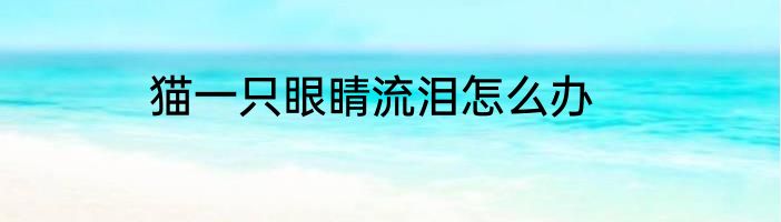 猫一只眼睛流泪怎么办