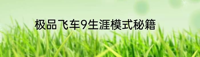 极品飞车9生涯模式秘籍