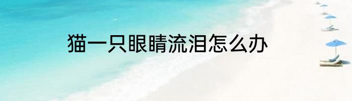 猫一只眼睛流泪怎么办