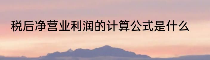 税后净营业利润的计算公式是什么