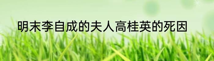 明末李自成的夫人高桂英的死因
