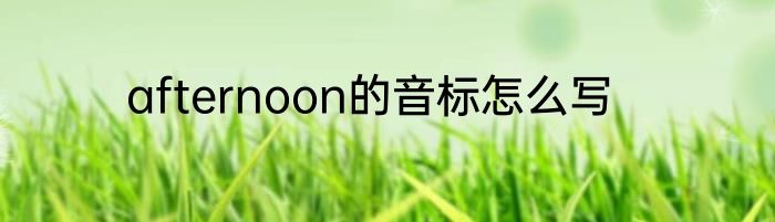 afternoon的音标怎么写