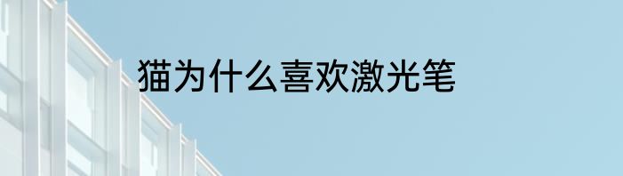 猫为什么喜欢激光笔