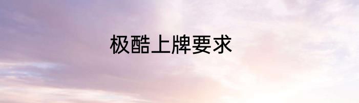 极酷上牌要求