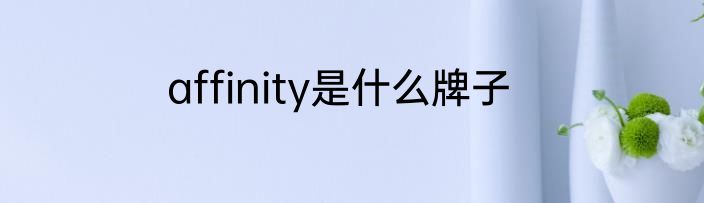 affinity是什么牌子