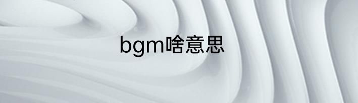 bgm啥意思