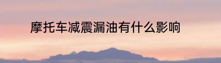 摩托车减震漏油有什么影响