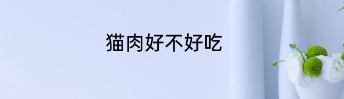 猫肉好不好吃