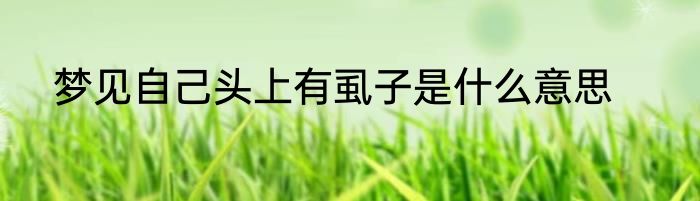 梦见自己头上有虱子是什么意思