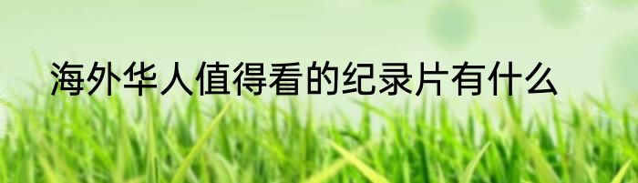 海外华人值得看的纪录片有什么
